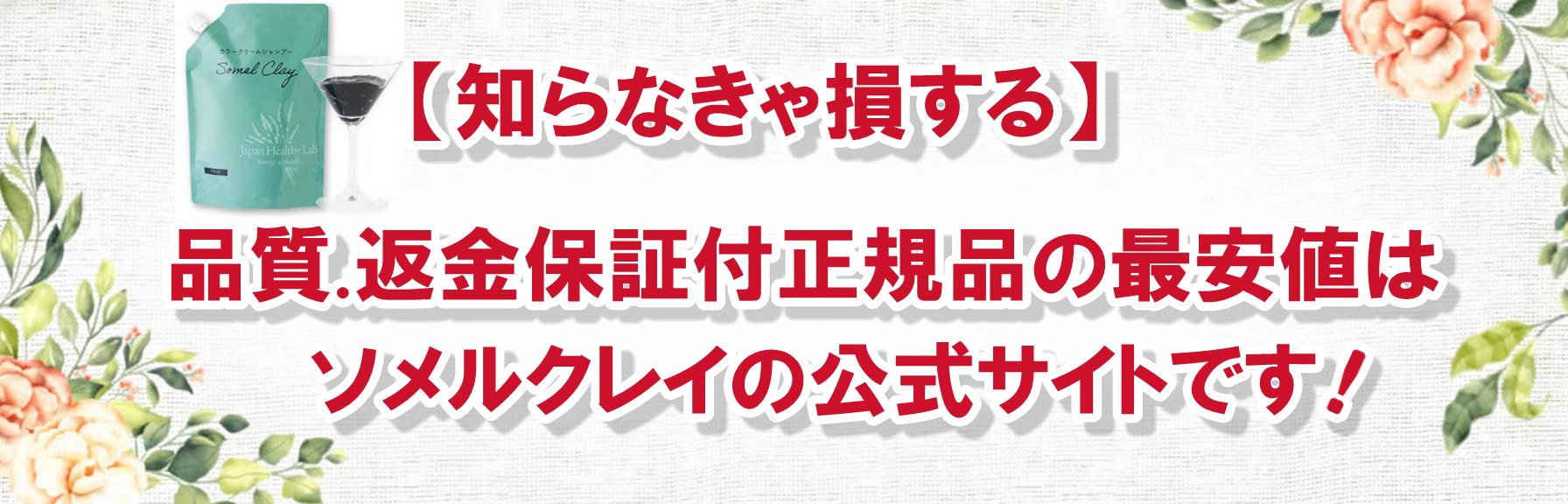 【知らなきゃ損する】ソメルクレイ正規品を一番安く最安値で買う方法
